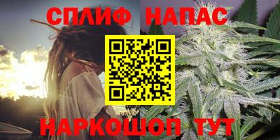 a pvp Новодвинск