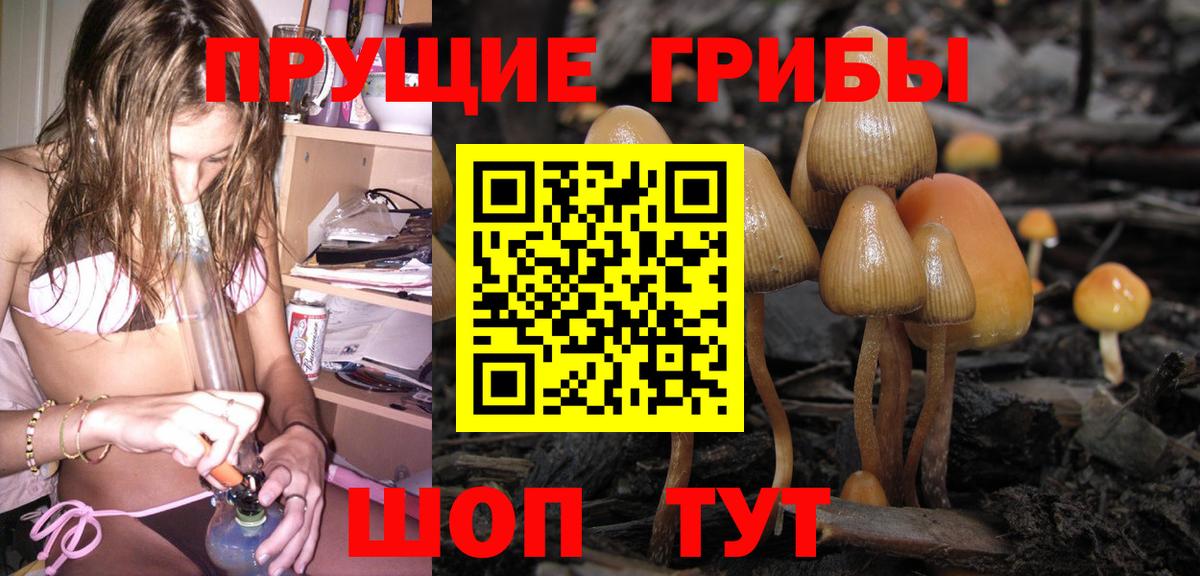 Псилоцибиновые грибы мицелий Верхняя Салда